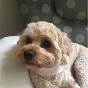 Julia Bergholm Palmer