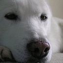 Angela Rivera Salamanca