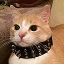 Ana Julia Silva Soares