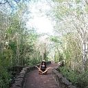 Fiorella Vera Gambellini