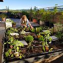 ELENA ALTUNA BASURTO