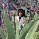 Iván Fernando Valdés Vásquez