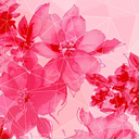carine_3