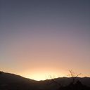 Marisol Escobar Londoño