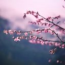 Mia Brunella Galindo Bendezu