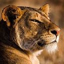 Cristiana Di Stefano