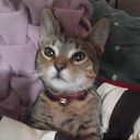 Alma Rosa Peregrino Juarez