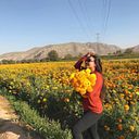 Paula Isis Ortega Martinez