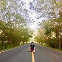 William Alfaro Caracas