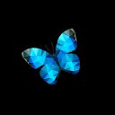 Vittorio Della Toffola