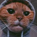 Alejandra Dominguez Turriago