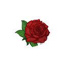 jonathan_campobasso2