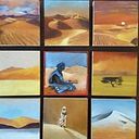 Barbara Berardicurti