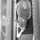 Magny Baquero Montaño