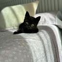 Kattia Desposorio Zavala