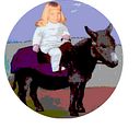 sdahldesigns