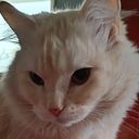 Fernando Miguel Sanchez