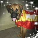 José Martin Rios Quispe