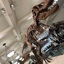 Nicolás Darrouy Jiménez