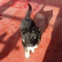 Franco Lennon Ortega Goyzueta