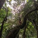 B Sebastian Florentín