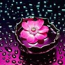 Dinorath Restrepo Rey