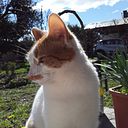 María Pía Sorianello