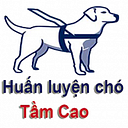 huanluyenchotamcao