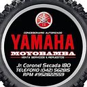 Yamaha Moyobamba