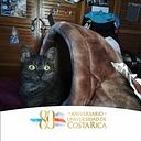 Ariana Zamora Ordoñez