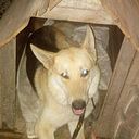 Pablo Tibaquira Alarcon