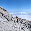 Alvaro Requena Bouso