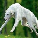 Rosario Hurtado Landeta