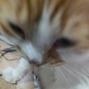 Gabriela Torres Martinez