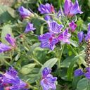 miriamdelgadocastellano