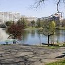 Isabel Cunha Pereira