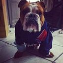 Julien Delmotte Bertras