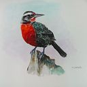 Roberto Carreño Cornejo