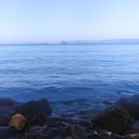 toghara83