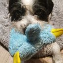 marinaalvarezasensio96