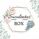 Suculentas Box