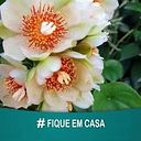 Maria De Lourdes Turim