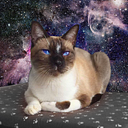 Aldana Cárdenas Solórzano