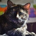 Verónica Auza Aramayo