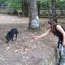 Francesca Trentacoste