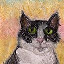 Samia Franco Abugattas