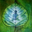 Gabriel Garrido Gonzaga