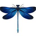 Marie Christelle Calapaya