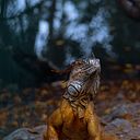 Juan José Hidalgo Javier