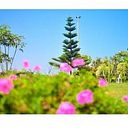 Casa De Campo Las Flores De Moche